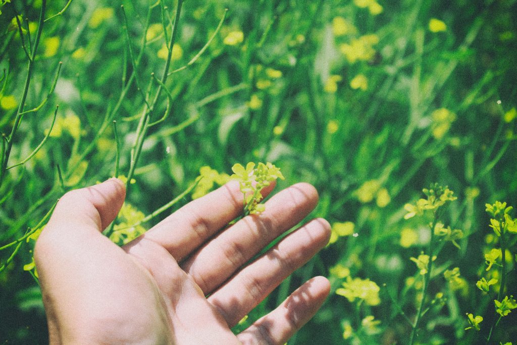 holding flower