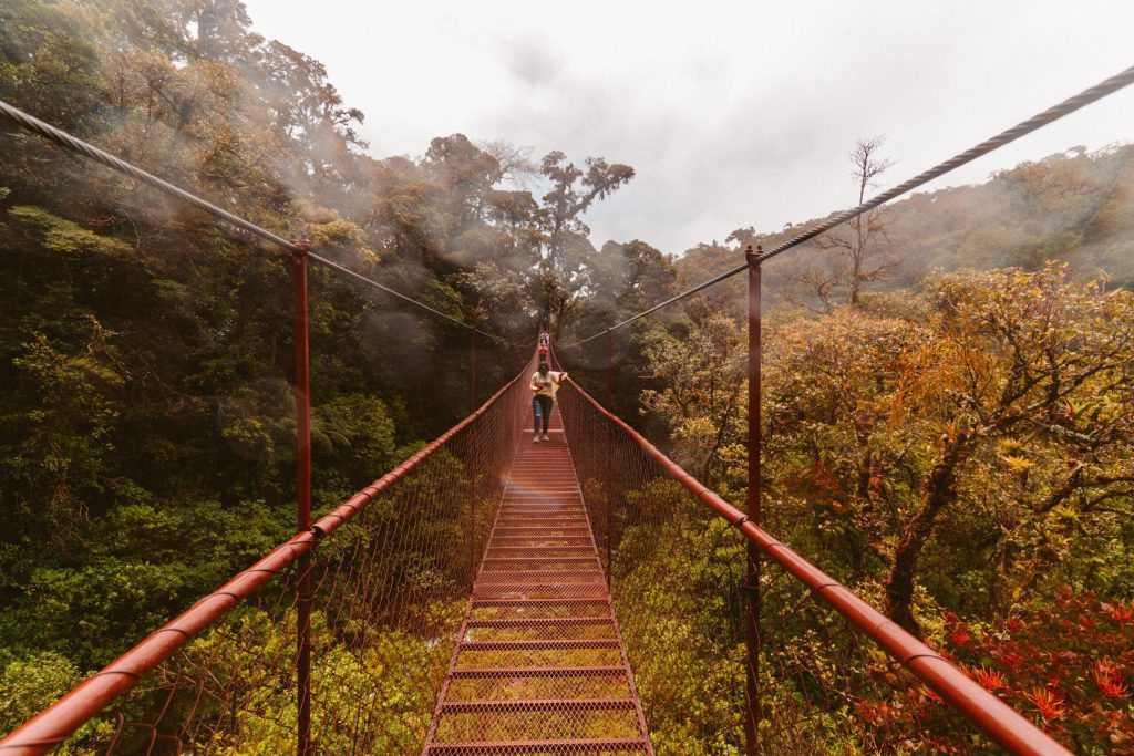 People walking on a pedestrian suspension bridge in a forest