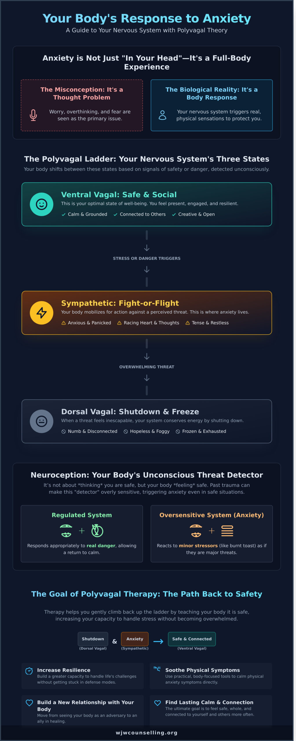 Polyvagal Therapy for Anxiety: A Gentle Path to Calm in St. Albert - Infographic